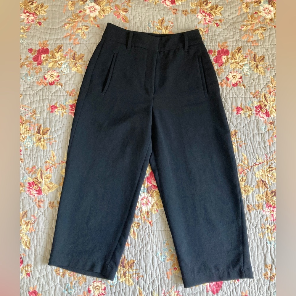 Wilfred high waist dress pants